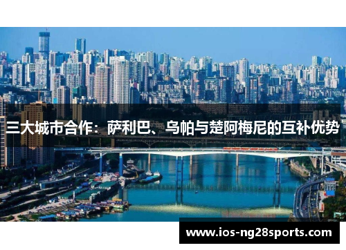 三大城市合作：萨利巴、乌帕与楚阿梅尼的互补优势