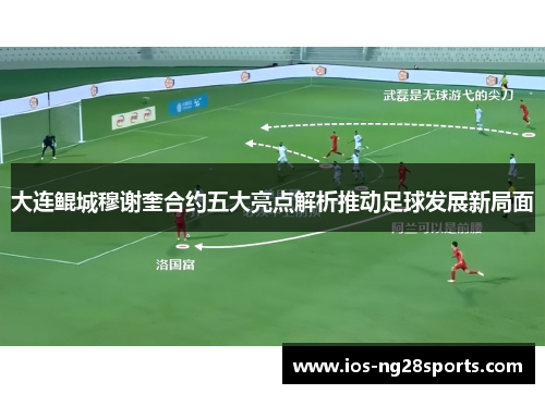 大连鲲城穆谢奎合约五大亮点解析推动足球发展新局面