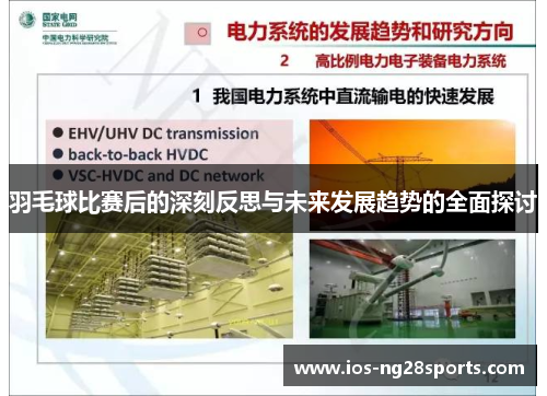 羽毛球比赛后的深刻反思与未来发展趋势的全面探讨