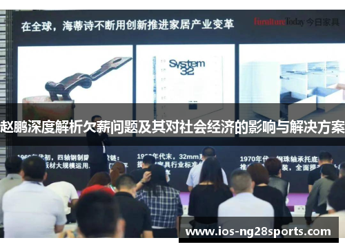 赵鹏深度解析欠薪问题及其对社会经济的影响与解决方案