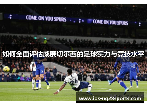 如何全面评估威廉切尔西的足球实力与竞技水平