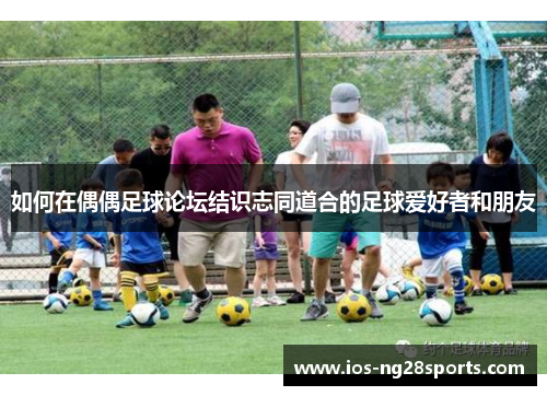 如何在偶偶足球论坛结识志同道合的足球爱好者和朋友
