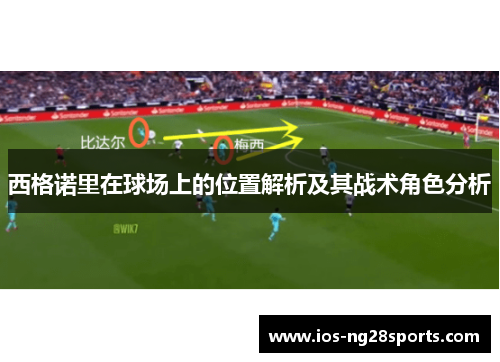西格诺里在球场上的位置解析及其战术角色分析