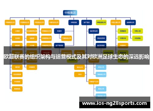 欧超联赛的组织架构与运营模式及其对欧洲足球生态的深远影响